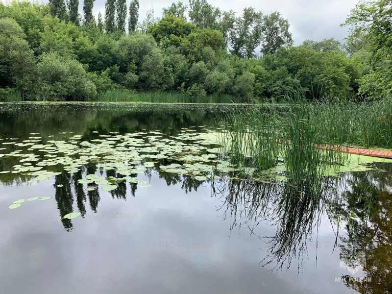 Информация о происшествии на воде в городе Моршанске, Тамбовской области