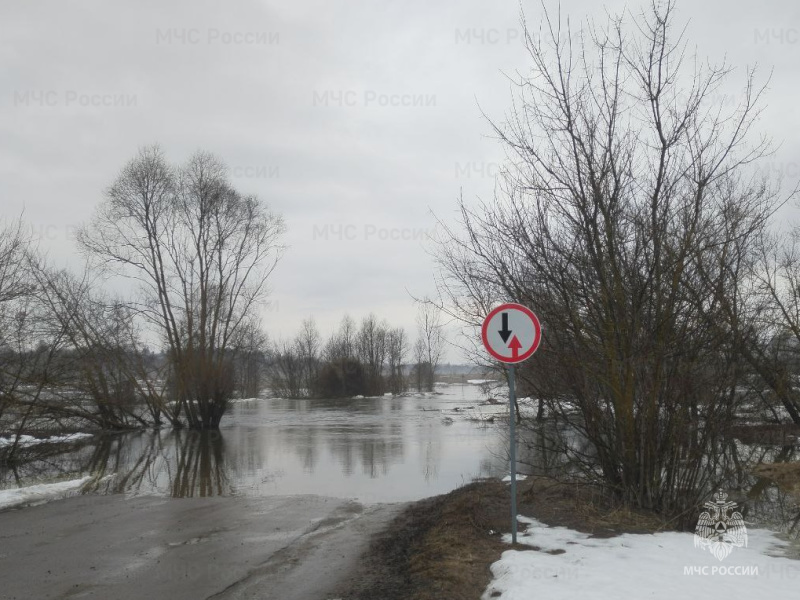 Затопление низководного моста между н.п. Лесохимучасток и н.п. Старая Казинка Мичуринского муниципального округа.