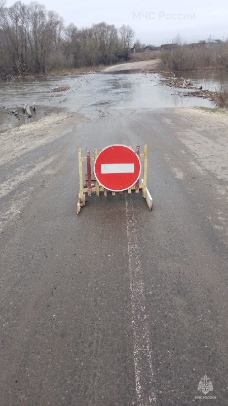 Затопление низководного моста соединяющий левую и правую часть н.п. Перевоз Ржаксинского муниципального округа.